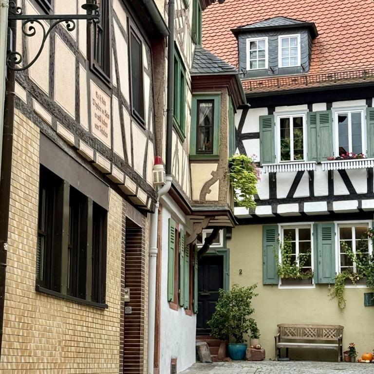 Aschaffenburg-013