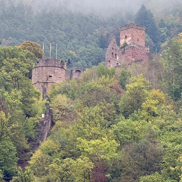 Miltenberg-015
