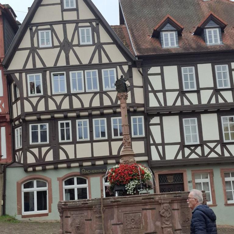 Miltenberg-036