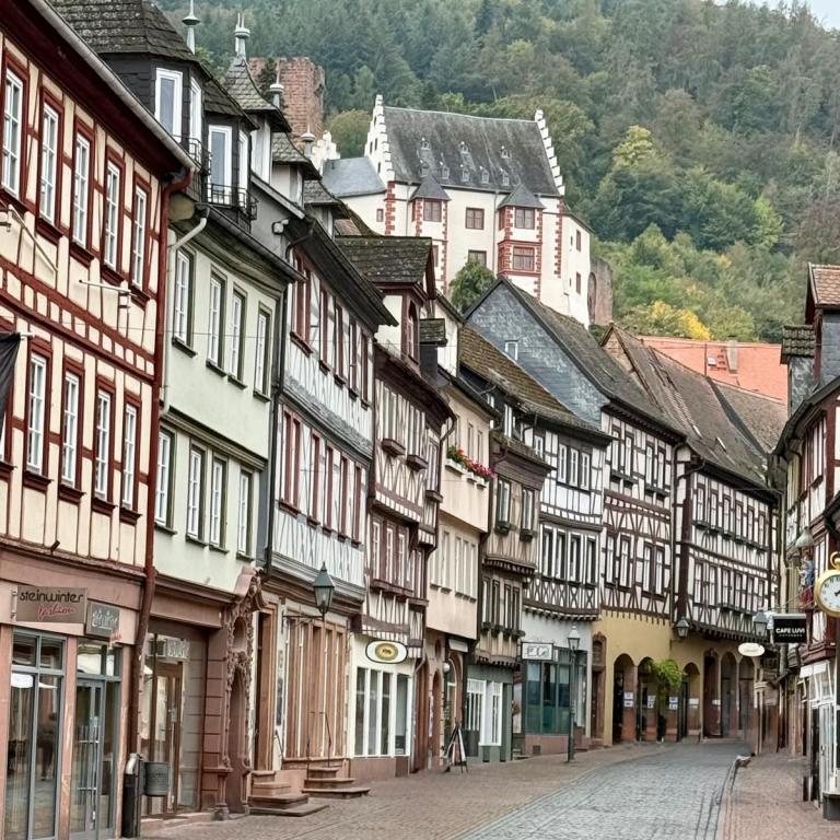 Miltenberg-044
